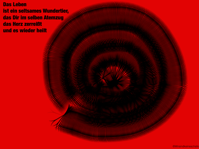 Willkommen – z﻿wei Stunden in meinem&nbsp;Kopf