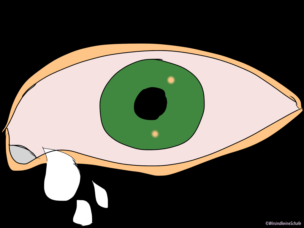 Quo vadis, Welt? Mal&nbsp;wieder…